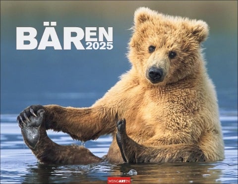 Bären Kalender 2025 - 