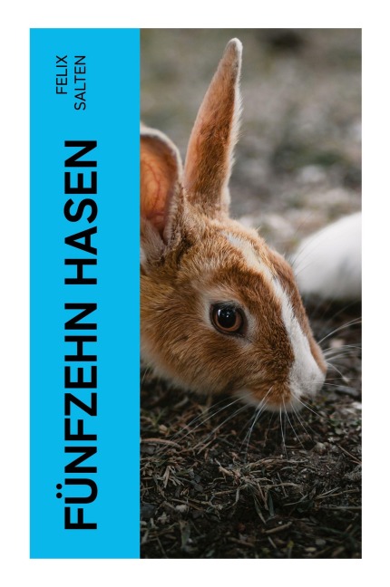 Fünfzehn Hasen - Felix Salten