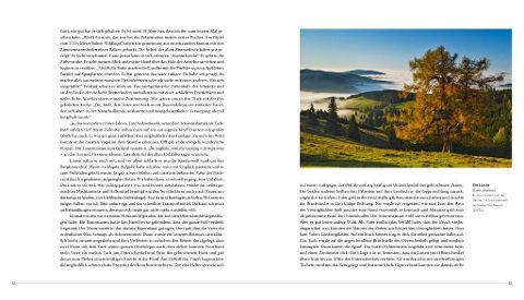 InsideView 2