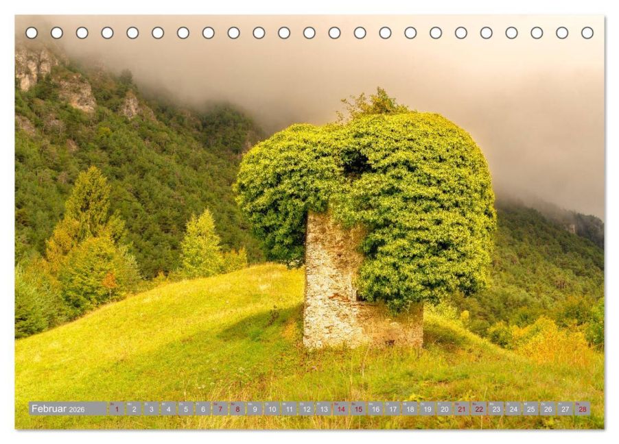 InsideView 7