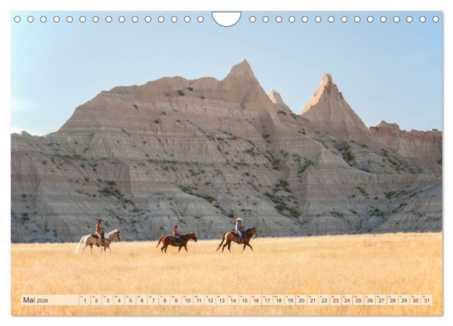 InsideView 10