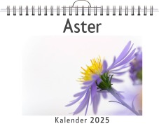 Cover-Bild zum Titel 'Aster' von 'Theo Becker'