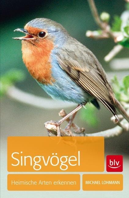 Singvögel - Michael Lohmann