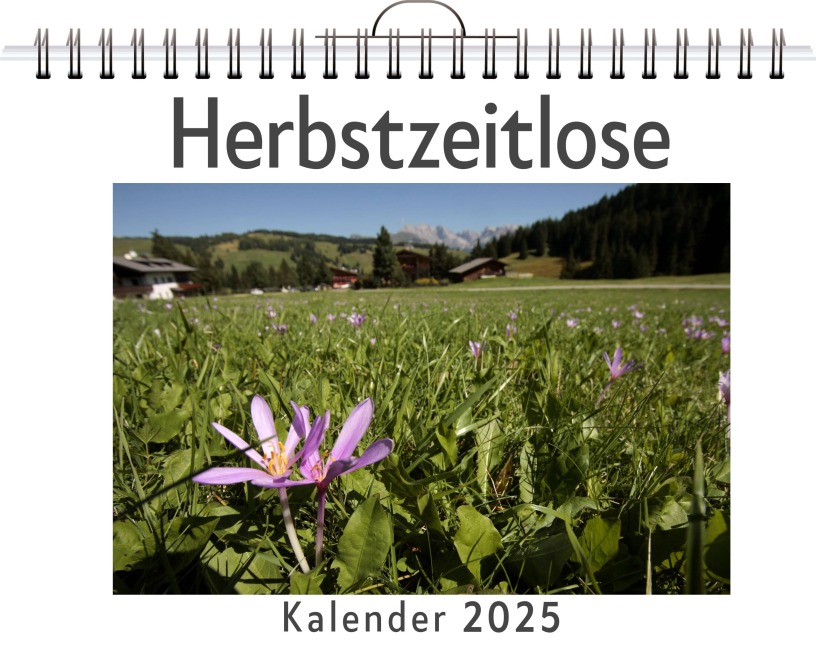 Herbstzeitlose - Max Müller