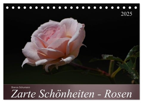 Zarte Schönheiten - Rosen (Tischkalender 2025 DIN A5 quer), CALVENDO Monatskalender - Bianca Schumann