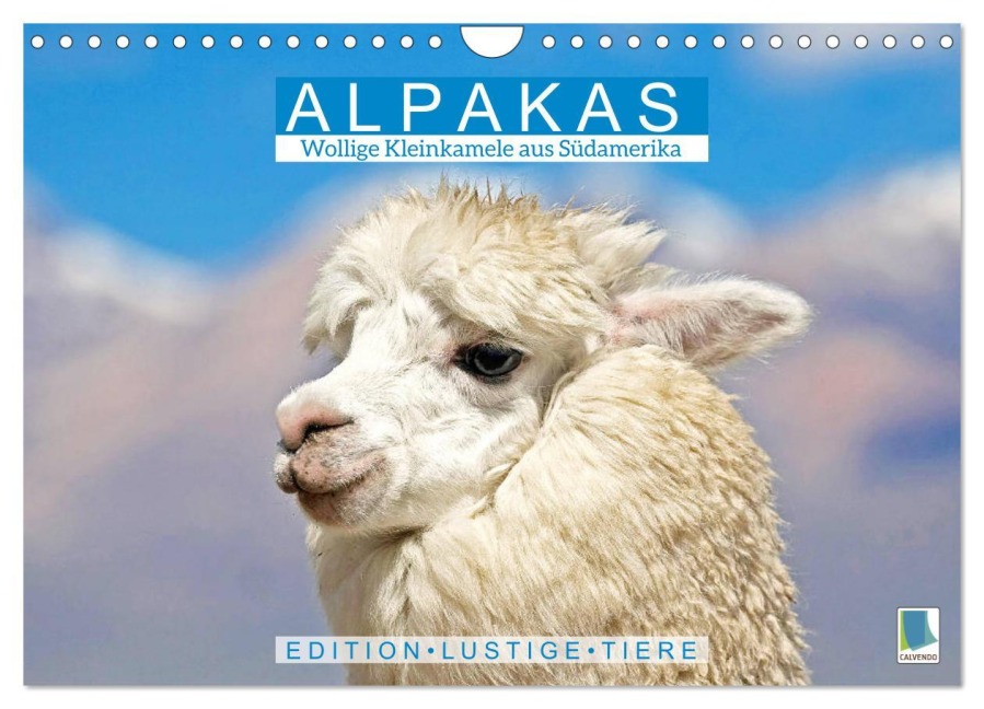 Alpakas: Wollige Kleinkamele aus Südamerika - Edition lustige Tiere (Wandkalender 2026 DIN A4 quer), CALVENDO Monatskalender - Calvendo Calvendo