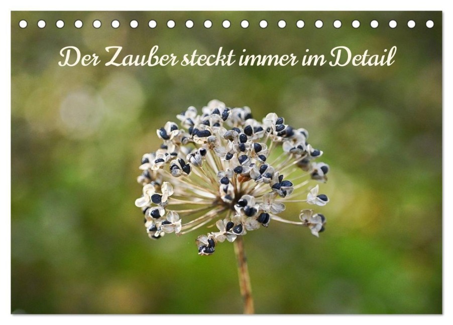 Der Zauber steckt immer im Detail (Tischkalender 2026 DIN A5 quer), CALVENDO Monatskalender - Notburga Enzi-Bammer