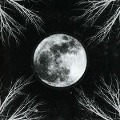 Pale Moon - Corpus Christii