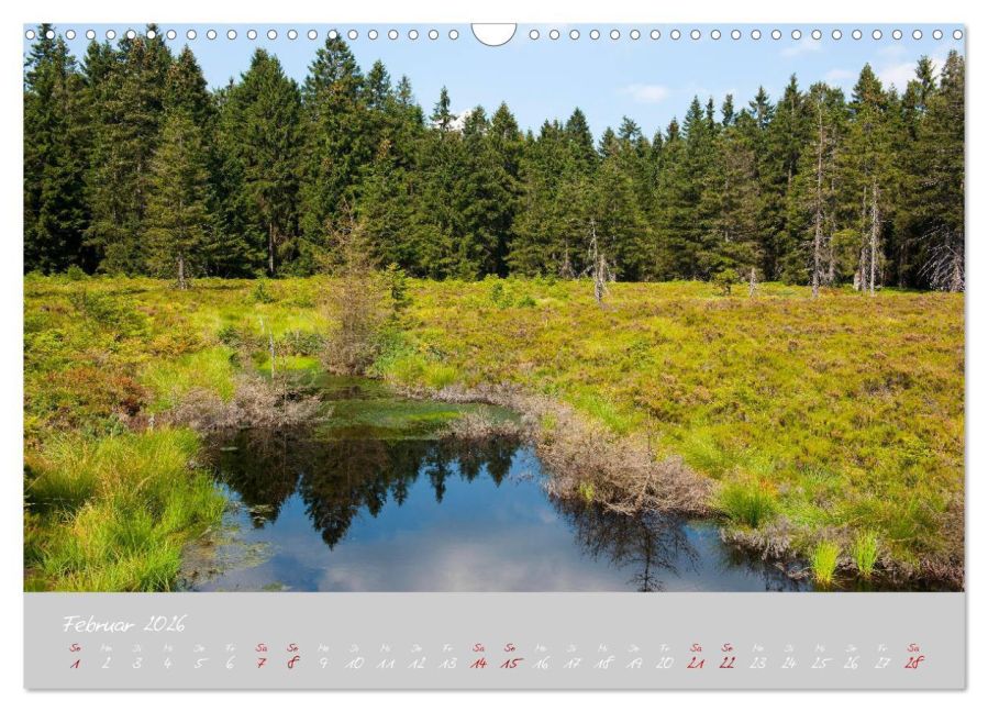 InsideView 7