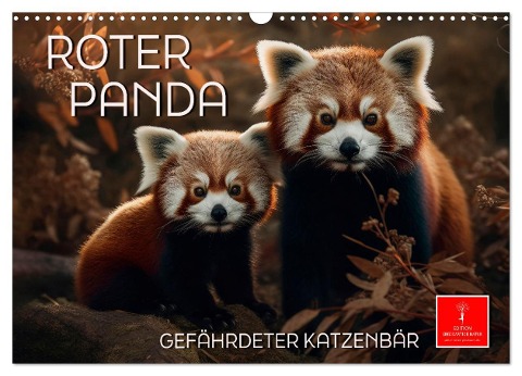 Roter Panda - gefährdeter Katzenbär (Wandkalender 2024 DIN A3 quer), CALVENDO Monatskalender - Peter Roder