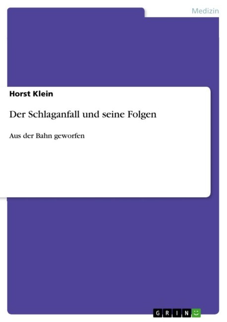 Der Schlaganfall und seine Folgen - Horst Klein
