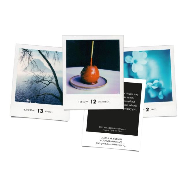 InsideView 11