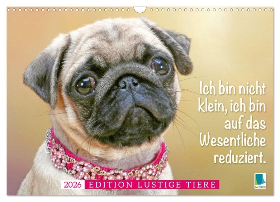 Der Mops: Nicht klein, sondern aufs Wesentliche reduziert. (Wandkalender 2026 DIN A3 quer), CALVENDO Monatskalender - Calvendo Calvendo