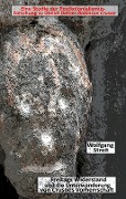 Cover-Bild zum Titel 'Freitags Widerstand und die Unterwanderung von Crusoes Vorherrschaft' von 'Wolfgang Streit'