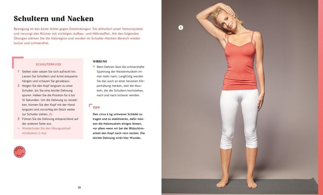 InsideView 6