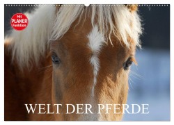 Cover-Bild zum Titel 'Welt der Pferde (Wandkalender 2026 DIN A2 quer), CALVENDO Monatskalender' von 'Sigrid Starick'
