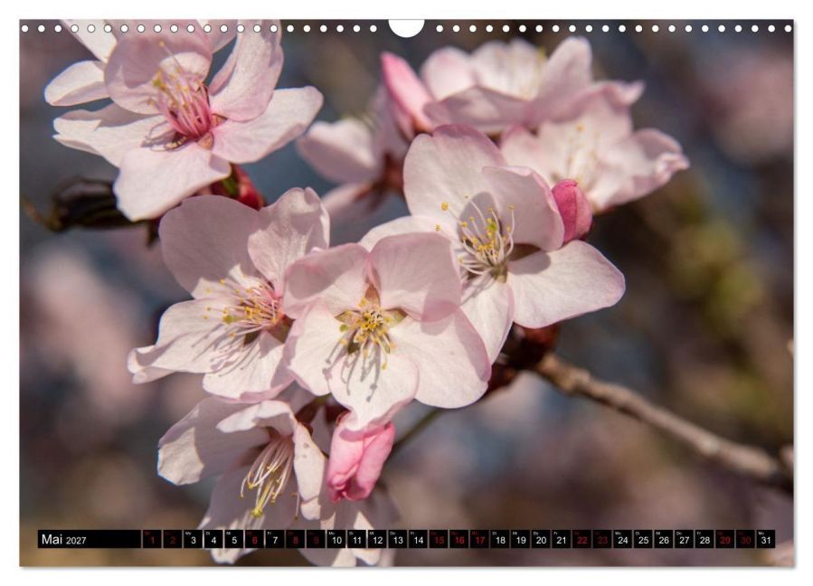 InsideView 10