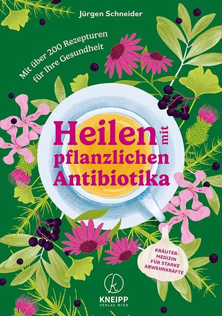 Heilen mit pflanzlichen Antibiotika - Jürgen Schneider