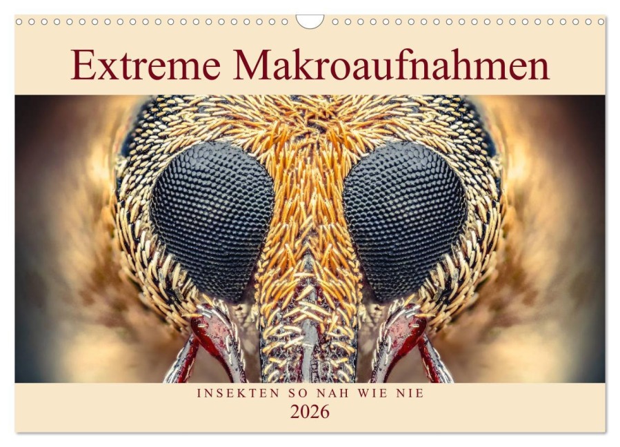 Extreme Makroaufnahmen - Insekten so nah wie nie (Wandkalender 2026 DIN A3 quer), CALVENDO Monatskalender - Ferdigrafie Ferdigrafie
