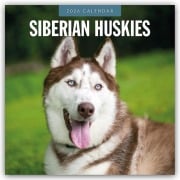 Siberian Huskies - Sibirischer Husky - Sibirische Huskys 2026 - 16-Monatskalender - Robin Red