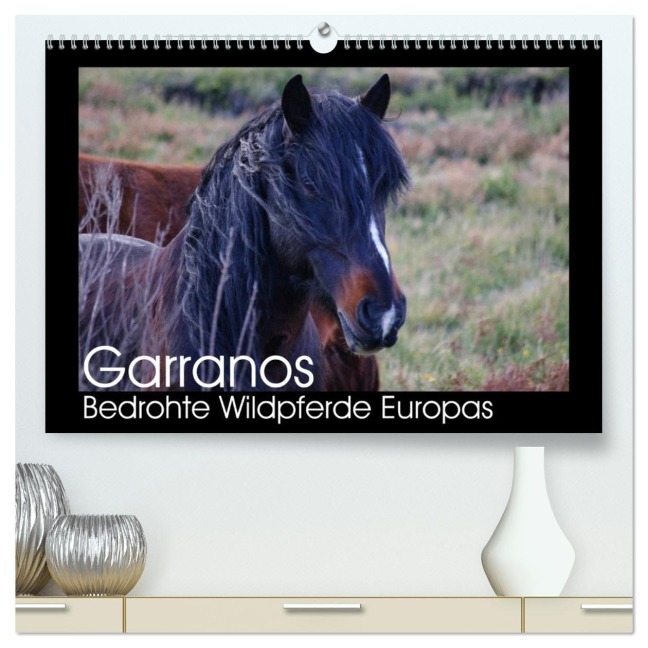 Garranos - Bedrohte Wildpferde Europas (hochwertiger Premium Wandkalender 2026 DIN A2 quer), Kunstdruck in Hochglanz - Sabine Bengtsson/Www. Perlenfaenger. Com