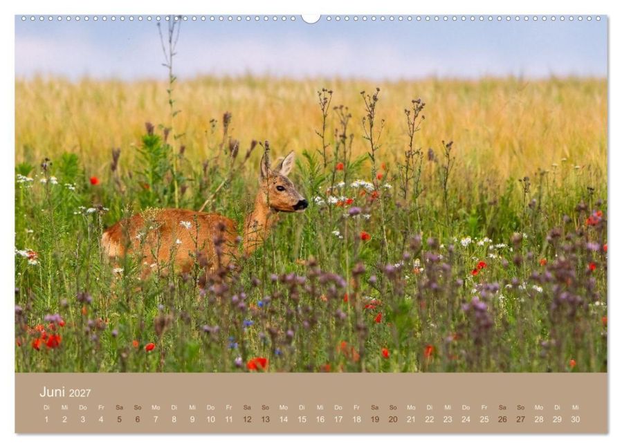 InsideView 11