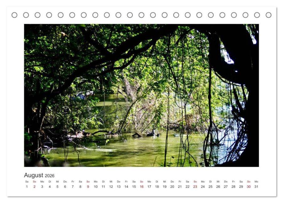 InsideView 13