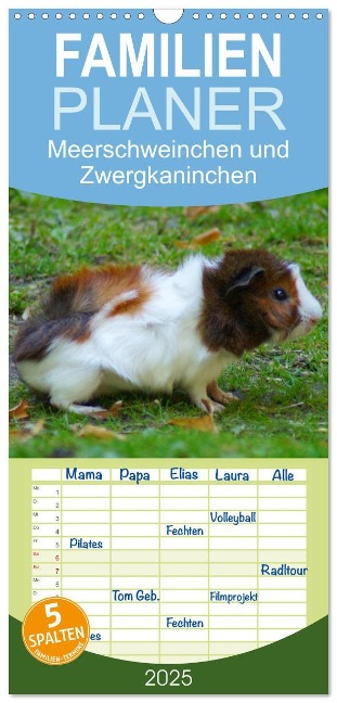 Familienplaner 2025 - Meerschweinchen und Zwergkaninchen mit 5 Spalten (Wandkalender, 21 x 45 cm) CALVENDO - Kattobello Kattobello