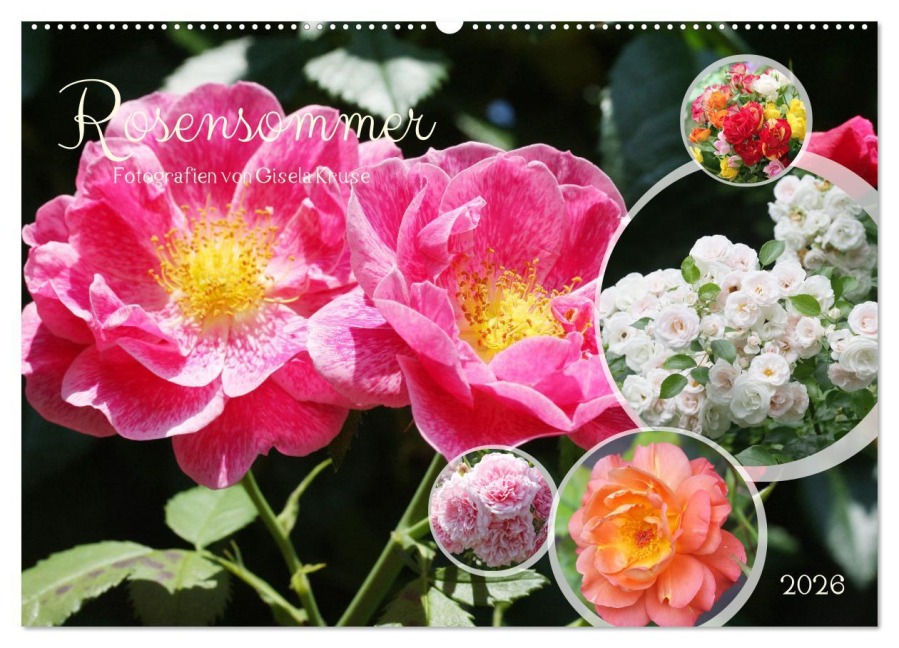 Rosensommer (Wandkalender 2026 DIN A2 quer), CALVENDO Monatskalender - Gisela Kruse
