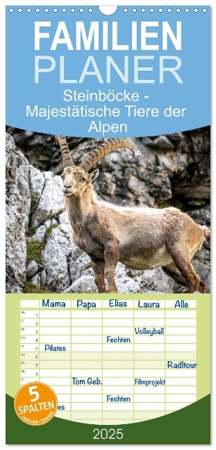 Familienplaner 2025 - Steinböcke - Majestätische Tiere der Alpen mit 5 Spalten (Wandkalender, 21 x 45 cm) CALVENDO - Sven Burbott