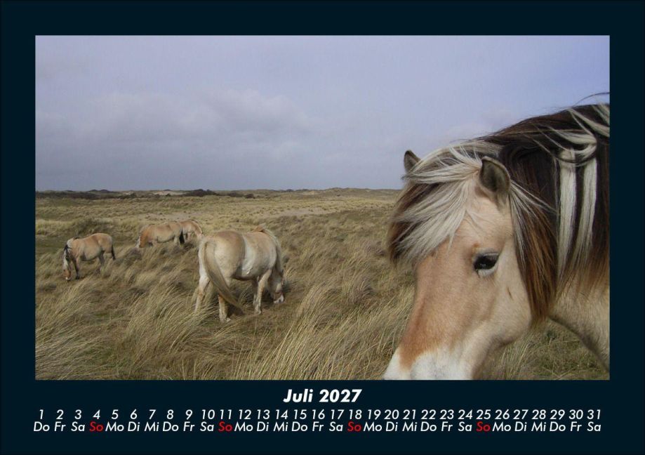InsideView 11