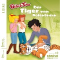 Der Tiger von Rotenbrunn - Stephan Gürtler