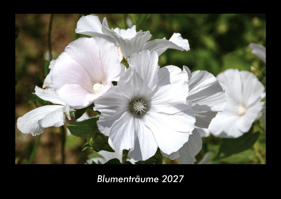 Blumenträume 2027 Fotokalender DIN A3 - Tobias Becker