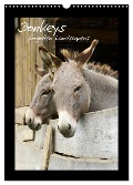 Donkeys - forgotten landscapers (Wall Calendar 2025 DIN A3 portrait), CALVENDO 12 Month Wall Calendar - Benny Trapp