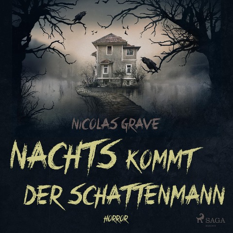 Nachts kommt der Schattenmann - Nicolas Grave
