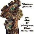 Cover-Bild zum Titel 'Best Of Homegrown Music 1968 To 1980' von 'Various'