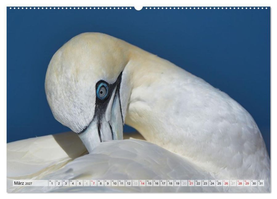 InsideView 8