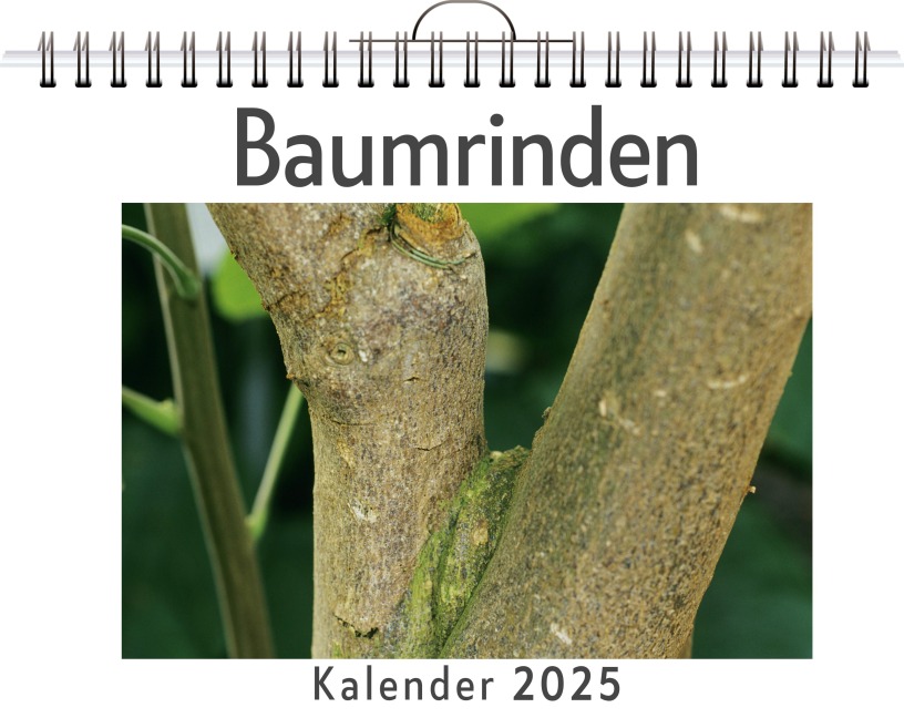 Baumrinden - Nele Wolf