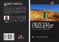 Cover-Bild zum Titel 'Convergenza sulla politica di integrazione economica della SADC' von 'Nestor Masosa Makanda'