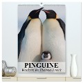 Pinguine - Wackeln im Thermo-Frack (hochwertiger Premium Wandkalender 2025 DIN A2 hoch), Kunstdruck in Hochglanz - Elisabeth Stanzer