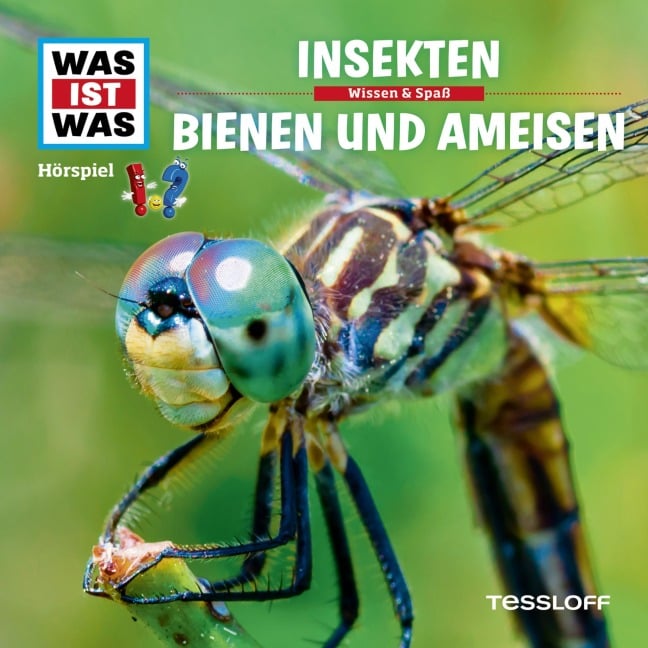 37: Insekten / Bienen und Ameisen - Kurt Haderer, Bettermusic, Günther Illi, Davinia Leonne, Lila