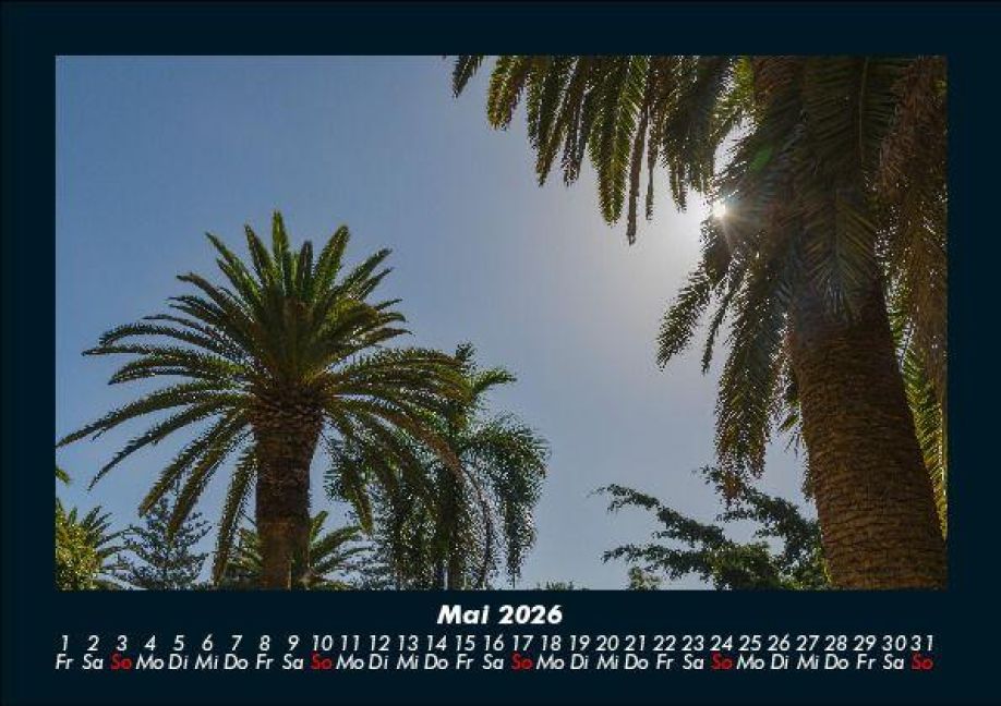 InsideView 9