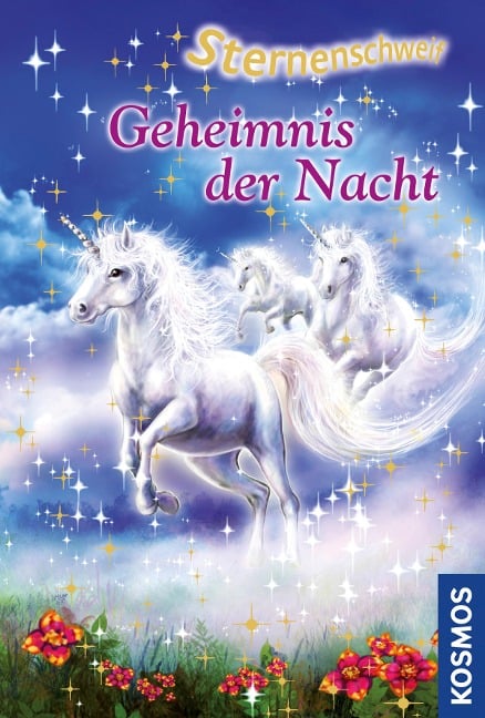Sternenschweif 24. Geheimnis der Nacht - Linda Chapman