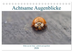 Cover-Bild zum Titel 'Achtsame Augenblicke (Tischkalender 2026 DIN A5 quer), CALVENDO Monatskalender' von 'JoBe FotoART'