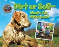 Cover-Bild zum Titel 'Dirt or Soil' von 'Ellen Lawrence'
