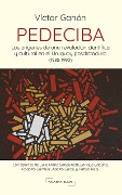 Cover-Bild zum Titel 'PEDECIBA: Los orígenes de una revolución científica y cultural en el Uruguay posdictadura  (1985-1990)' von 'Victor Ganon'