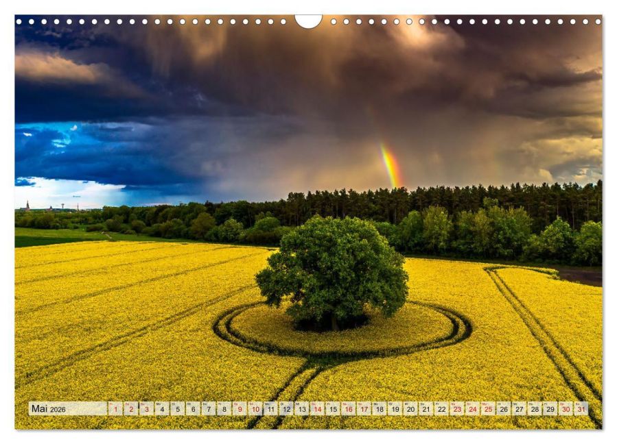 InsideView 10