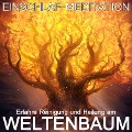 Cover-Bild zum Titel 'Erfahre Reinigung und Heilung am Weltenbaum' von 'Raphael Kempermann, Chakratunes'