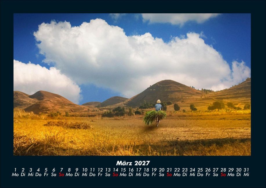 InsideView 7
