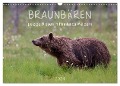 Braunbären - pelzige Riesen in Finnlands Wäldern (Wandkalender 2024 DIN A3 quer), CALVENDO Monatskalender - ©. Sandra Eigenheer